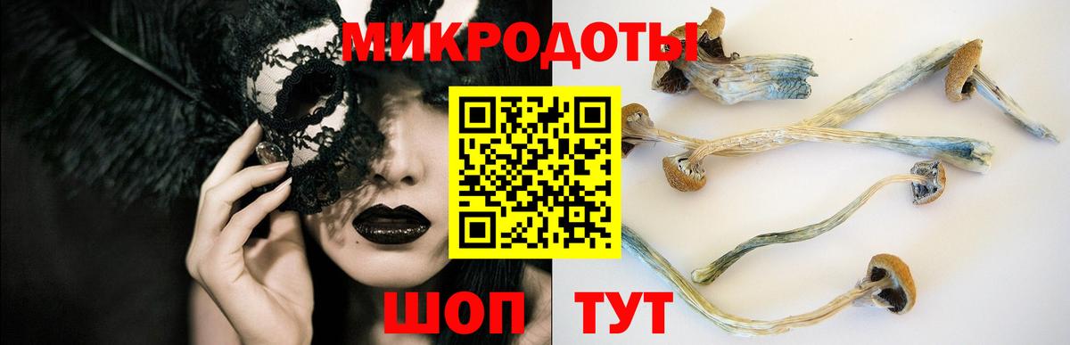 Мирный  Галлюциногенные грибы мухоморы  Вход с VPN 